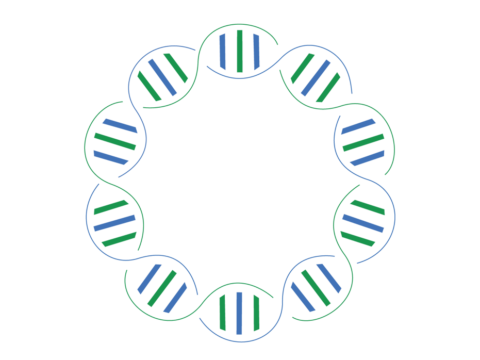 Company | Nova Diagnostics Labs